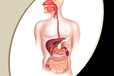 Constipation Treatment in Guntur, Best Chronic Diarrhoea Treatment, IBD Treatment, IBS Treatment, Piles Treatment in Guntur District, Fistula Treatment in Guntur, Banding for Piles, OPD Treatment for Piles, Day Care Treatment for Fissure, Best Gastroenterologist in Guntur